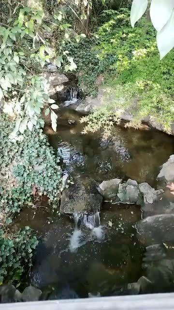 桌面雕花是从哪个朝代开始的